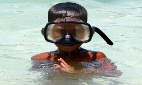 Zdjęcie MALEZJA / brak / Mabul / nurek