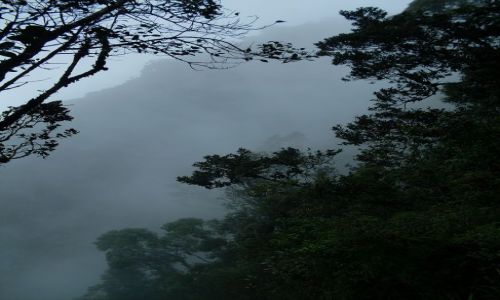 Zdjcie MALEZJA / Pahang / Cameron Highlands / ... w oparach mgy...