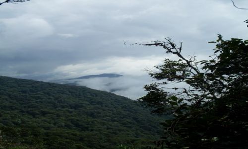 Zdjcie MALEZJA / Pahang / Cameron Highlands / ... patrzc z gry...