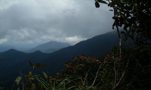 Zdjęcie MALEZJA / Sabah / Borneo-Mt. Kinabalu i okolice / ... rzut oka na ...