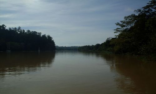 Zdjęcie MALEZJA / Sabah / Borneo-Sukau-okilice / ... duża woda ...