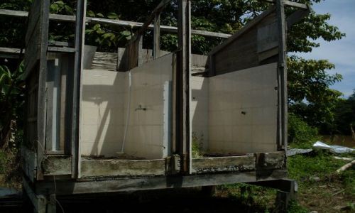 Zdjęcie MALEZJA / Sabah / Borneo-Sukau-okolice / ... nie umywa się ...
