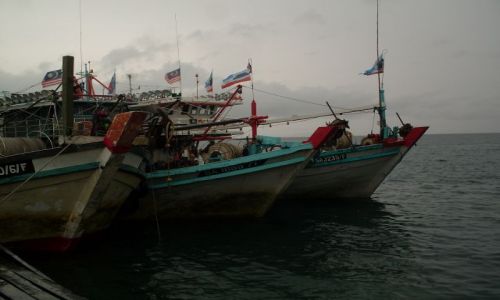 Zdjęcie MALEZJA / Sabah / Borneo-Kunak / ... trójka?...