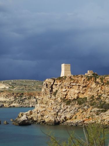 Zdjęcia: Golden bay, Malta, Samotnia, MALTA Zdjęcia: Golden bay, Malta, Samotnia, MALTA