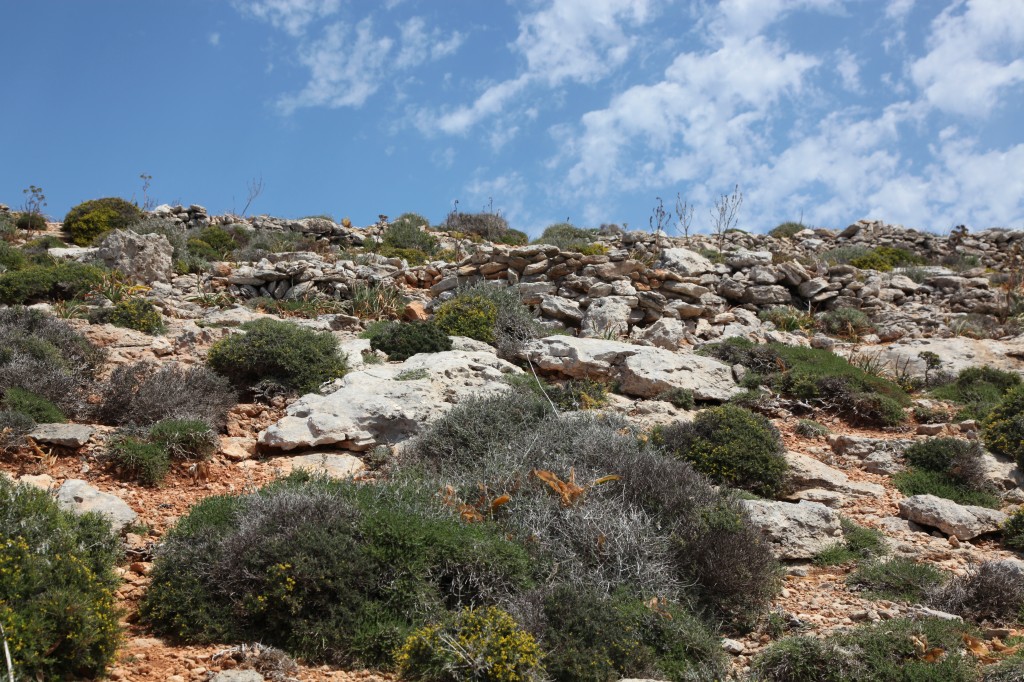 Zdjęcia: Błękitna laguna, Wyspa Comino, Skalny ogród, MALTA Zdjęcia: Błękitna laguna, Wyspa Comino, Skalny ogród, MALTA