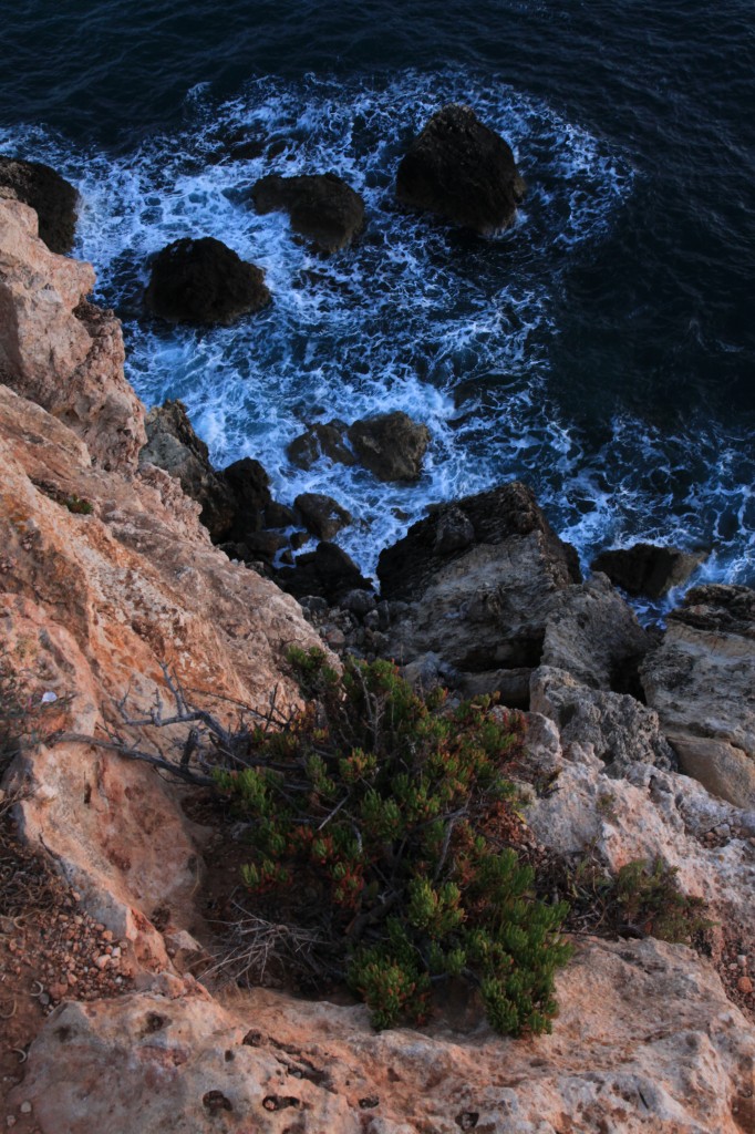 Zdjęcia: Golden Bay, Mellieħa, Toń, MALTA Zdjęcia: Golden Bay, Mellieħa, Toń, MALTA