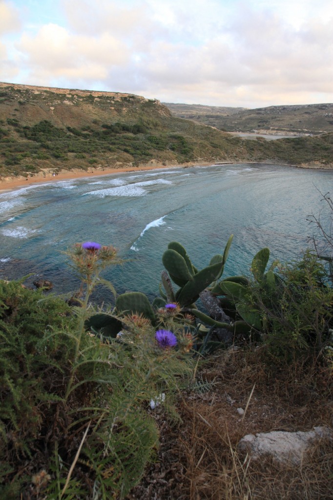 Zdjęcia: Golden Bay, Melieha, Cicha zatoczka, MALTA Zdjęcia: Golden Bay, Melieha, Cicha zatoczka, MALTA