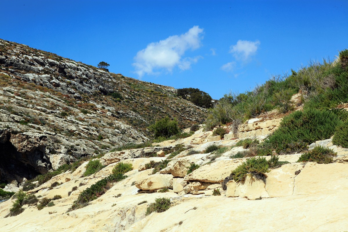 Zdjęcia: Xlendi , Gozo, Lokalne pagórki, MALTA Zdjęcia: Xlendi , Gozo, Lokalne pagórki, MALTA