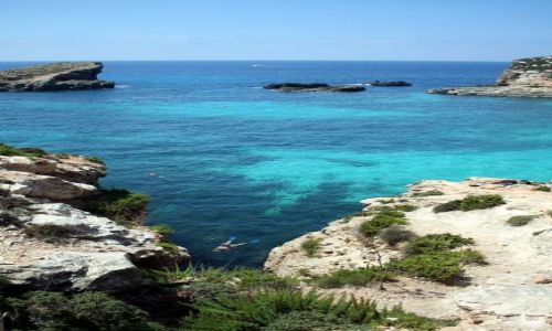 Zdjecie MALTA / - / Comino / Bkitna laguna
