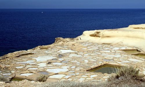 Zdjcie MALTA / - / Marsalforn / Solne poletka