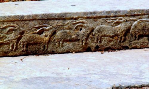 Zdjęcie MALTA / - / swiatynia Tarxien / Malta -swiatynia Tarxien