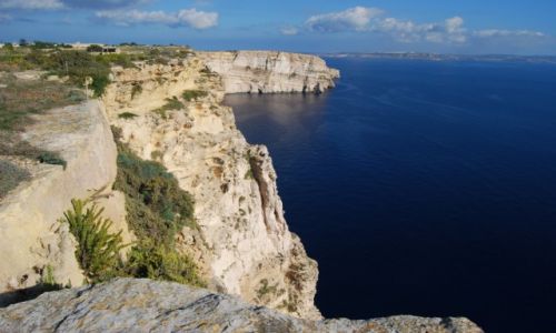 Zdjecie MALTA / Gozo / Ta'Cenc / na klifach