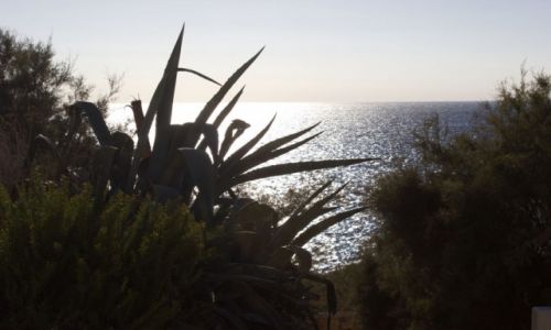 Zdjcie MALTA / Wyspa Gozo / Ramla Bay / Ramla Bay