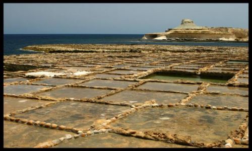 Zdjecie MALTA / brak / okolice m. Marsalforn - wyspa Gozo / Plantacja soli