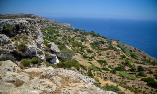 MALTA / Dingli Cliffs / Dingli Cliffs / Dingli Cliffs