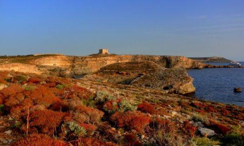 Zdjecie MALTA / Wyspa Comino / Comino Blue Lagoon / Konkurs - Comino w blasku zachodzcego soca