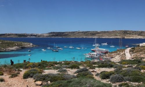 Zdjcie MALTA / Wyspa Comino / Bkitna laguna / Bajkowa zatoczka