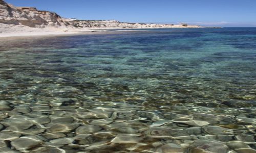 Zdjęcie MALTA / Marsaskala / Zatoka św. Tomasza / Przejrzyście