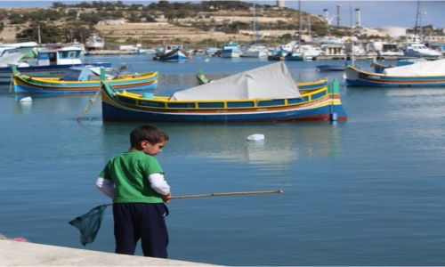Zdjecie MALTA / Marsaxlokk / Port rybacki / Gdzie te ryby?