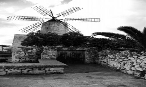 Zdjecie MALTA / Zurrieq / Xarolla / Wiatrak