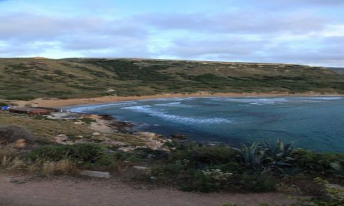 Zdjcie MALTA / Mellieha / Golden Bay / Cicha zatoczka