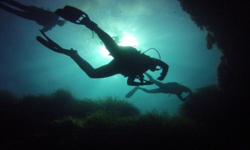 Zdjecie MALTA / malta / malta / diving