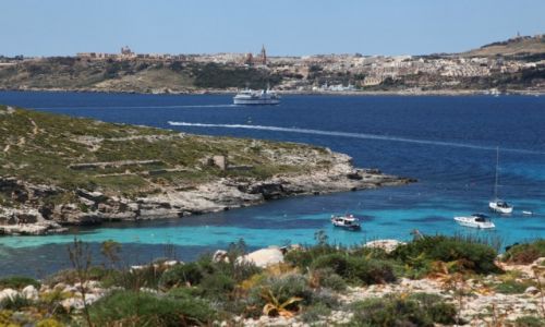 Zdjecie MALTA / Comino / Bkitna laguna / Promem na Gozo