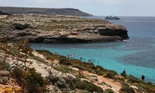 Zdjcie MALTA / Comino / Bkitna laguna / Skaliste pobrzee