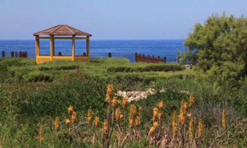 Zdjcie MALTA / Gozo  / Marsalforn / Park
