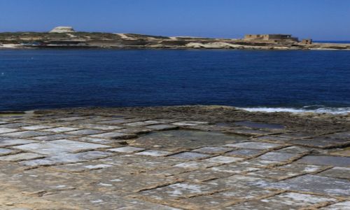 Zdjcie MALTA / Gozo / Marsalforn / Saliny