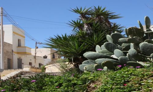 Zdjcie MALTA / Zurrieq / Weid iz-Zurrieq / Maltaskie zauki