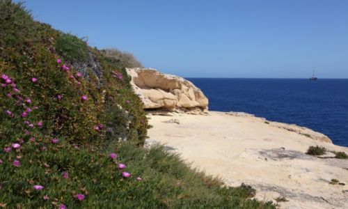 Zdjcie MALTA / Zurrieq / Weid iz-Zurrieq / Zaciszna pka skalna