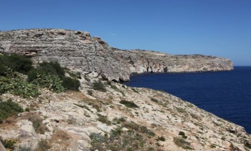 Zdjecie MALTA / Zurrieq / Weid iz-Zurrieq / Zatoka Blue Grotto z gry