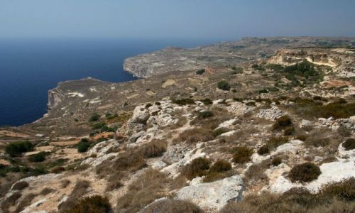 Zdjcie MALTA / Malta / Dingli / Dingli Cliffs