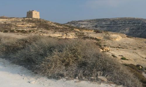 Zdjęcie MALTA / Gozo / Dwejra Point / Strażnica