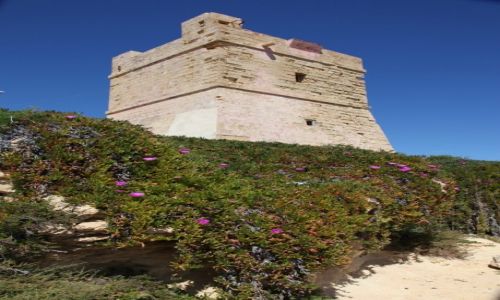 Zdjcie MALTA / Zurrieq / Blue Grotto / Wiea stranicza