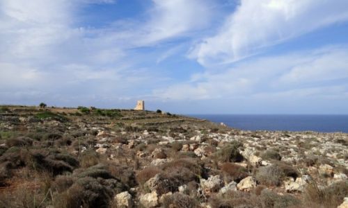 Zdjcie MALTA / Malta / Mellieha / Wiea obserwacyjna