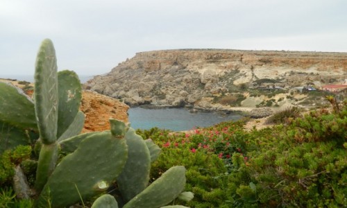 Zdjęcie MALTA / Gozo / Mgar Ix Xini. / Gozo wiosną