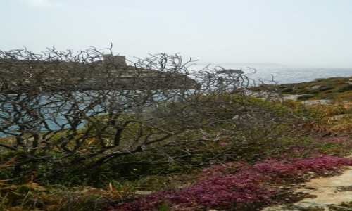 Zdjęcie MALTA / Gozo / Mgar Ix Xini. / Mgar Ix Xini wąwóz