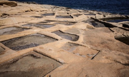 Zdjcie MALTA / Marsascala / Marsascala / Solanki w Marsascala