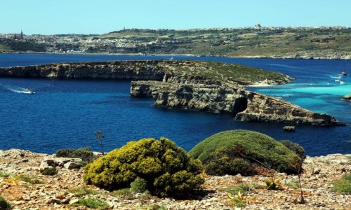 Zdjęcie MALTA / Comino / Błękitna laguna / Pomiędzy wyspami