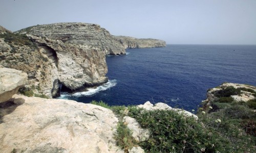 Zdjęcie MALTA / Malta południowa / Wied iż-Żurrieq / Spacer po klifach