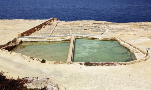 Zdjęcie MALTA / Gozo / Xwejni / Saliny