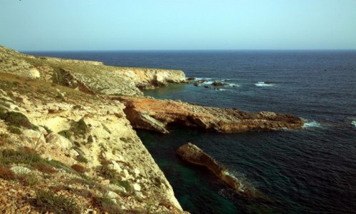 Zdjcie MALTA / Malta poudniowa / Klify Dingli / Skalisty brzeg
