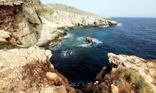 Zdjecie MALTA / Siġġiewi / Zatoka Ghar Lapsi  / Miejsce warte polecenia