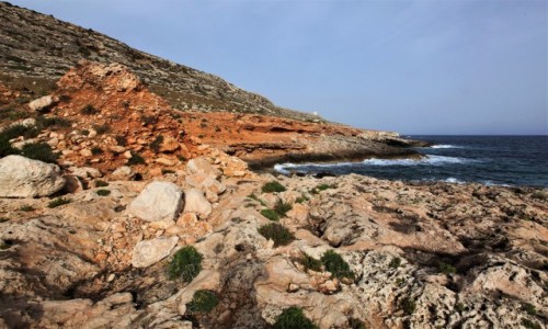 Zdjęcie MALTA / Siġġiewi  / Għar Lapsi  / Jak malowane