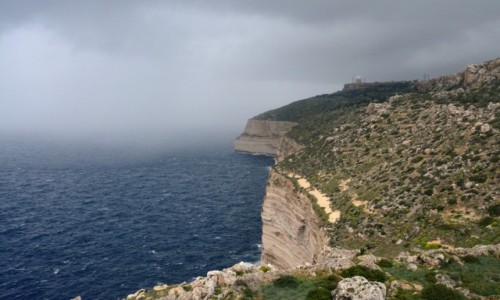 Zdjcie MALTA / Malta Centralna / Dingli / Faleza na Malcie