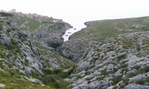 Zdjcie MALTA / Wied iz Zurriq / Blue Grotto / Zatoczka
