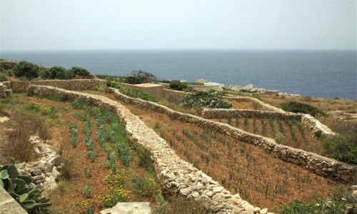 Zdjecie MALTA / Malta poudniowa / Wied i-urrieq / Poletka uprawne