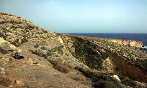 Zdjęcie MALTA / Siġġiewi / Għar Lapsi  / Kontemplacja